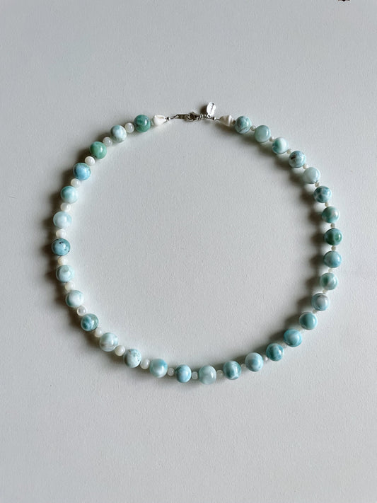dolphin necklace
